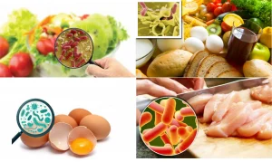 vi sinh trong thực phẩm